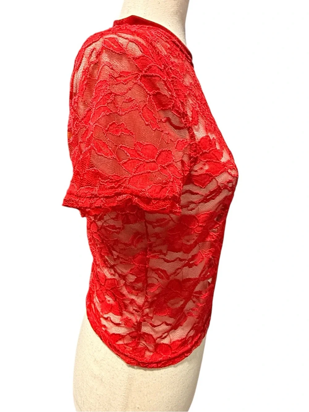 Red Lace Short Sleeve Top with Velvet Trim Size L Whimsigoth Romantic Sheer Mesh